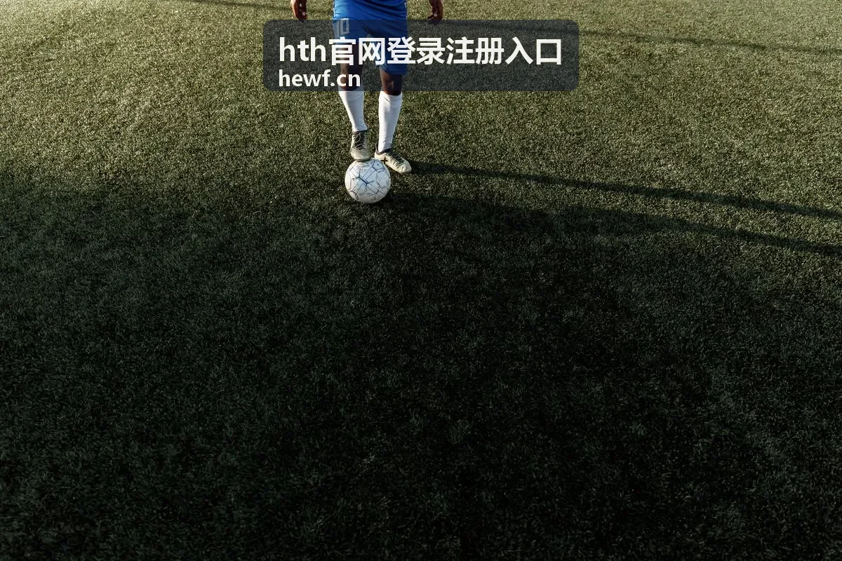 hth官网登录注册入口手机号更换绑定示意
